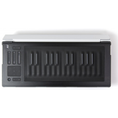 ROLI RISE 25 Flip Case Silver