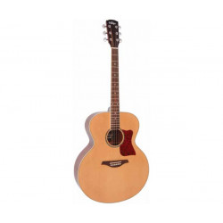 Гітара акустична VINTAGE VJ100N