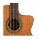 Класична гітара зі звукознімачем SALVADOR CORTEZ CC-10CE