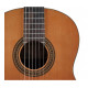 Класична гітара SALVADOR CORTEZ CC-15