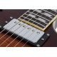 SCHECTER TEMPEST CUSTOM FADED VINTAGE SUNBURST FVSB