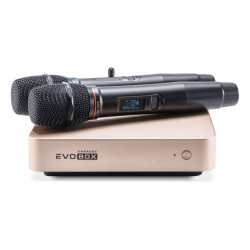 Evolution EVOBOX Plus Gold с цифровыми микрофонами в комплекте
