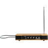 MOOG Etherwave Theremin