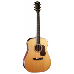 CORT GOLD D8 (Natural)