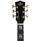 Sigma SG Series GJR-SG300 (Fishman Sonitone) с мягким кейсом