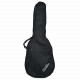 CORDOBA C1 (with Gig Bag)