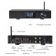 Cloudyx CL-300W Pro Hi-Fi WIFI Audio Amplifier