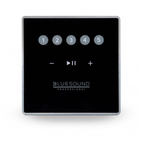 BLUESOUND CP100