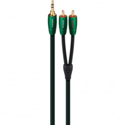 AUDIOQUEST 3.0m EVERGREEN 3.5mm to RCA
