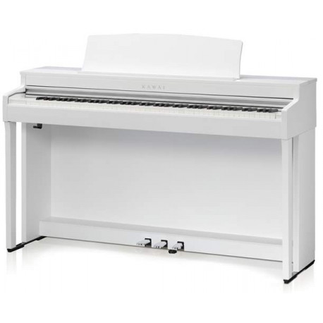 KAWAI CN301W