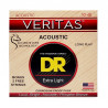 DR Strings VERITAS Coated Core Acoustic Guitar Strings - Extra Light (10-48)