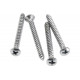 FENDER NECK MOUNTING SCREWS (4)