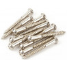 FENDER VINTAGE-STYLE STRAT BRIDGE MOUNTING SCREWS