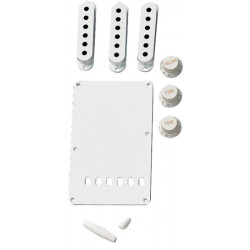 FENDER VINTAGE-STYLE STRATOCASTER ACCESSORY KIT