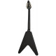 EPIPHONE FLYING V PROPHECY