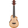 IBANEZ AUC10E OPN