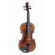 GEWA Violin Allegro-VL1 4/4