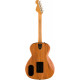 FENDER HIGHWAY SERIES PARLOR NATURAL