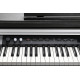 KURZWEIL CUP P1 BK