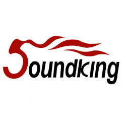 Soundking RC-filter for FI042 8 Ohm