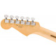 FENDER PLAYER ANNIVERSARY STRATOCASTER MN 2-COLOR SUNBURST