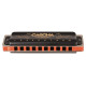 CASCHA PROFESSIONAL BLUES HARMONICA IN D DIATONIC HH 2159 (D)