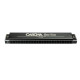 CASCHA MASTER EDITION TREMOLO HARMONICA IN C MAJOR HH 2169 (C)