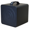 BELCAT BUSKER BOX-ACOUSTIC 40
