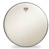REMO Suede Diplomat 12"