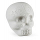 Latin Percussion Sugar Skull Shaker LP006-GLO Glow In The Dark