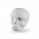 Latin Percussion Sugar Skull Shaker LP006-GLO Glow In The Dark