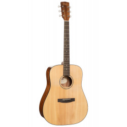 CORT EARTH 60 (Natural Gloss)