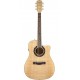 FENDER T-BUCKET 400CE NT