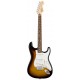 FENDER STANDARD STRATOCASTER RW AWT