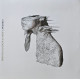 LP COLDPLAY: A RUSH OF BLOOD TO THE HEAD