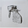 LP COLDPLAY: A RUSH OF BLOOD TO THE HEAD