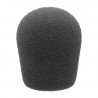 Sennheiser Windscreen MZW 41