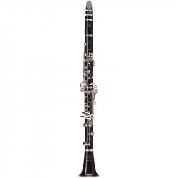 Buffet Crampon C12 Conservatoire BC1134C-2-0
