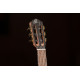 Ortega Travel RGL5EB Ebony Natural