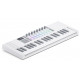 NOVATION Launchkey Mini 37 MK4