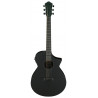 IBANEZ AEWC621 BOT