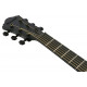 IBANEZ AEWC621 BOT