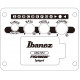 IBANEZ AEWC621 BOT