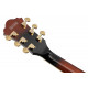 IBANEZ AS93QMSP DBS