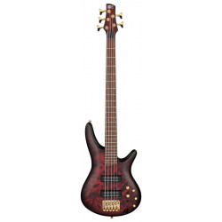IBANEZ SR305EDX WZM