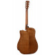 CORT EARTH 60CE (Natural Gloss)