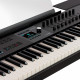 ARTURIA KEYLAB 88 MK3 (BLACK) + V Collection X