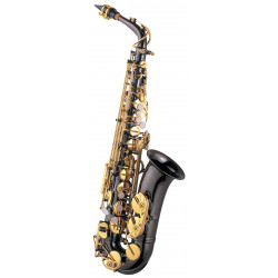 J.MICHAEL AL800BL Alto Saxophone