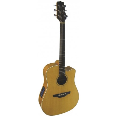 TAKAMINE EG510SC