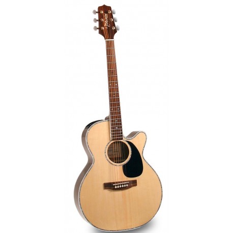 TAKAMINE EG460SC